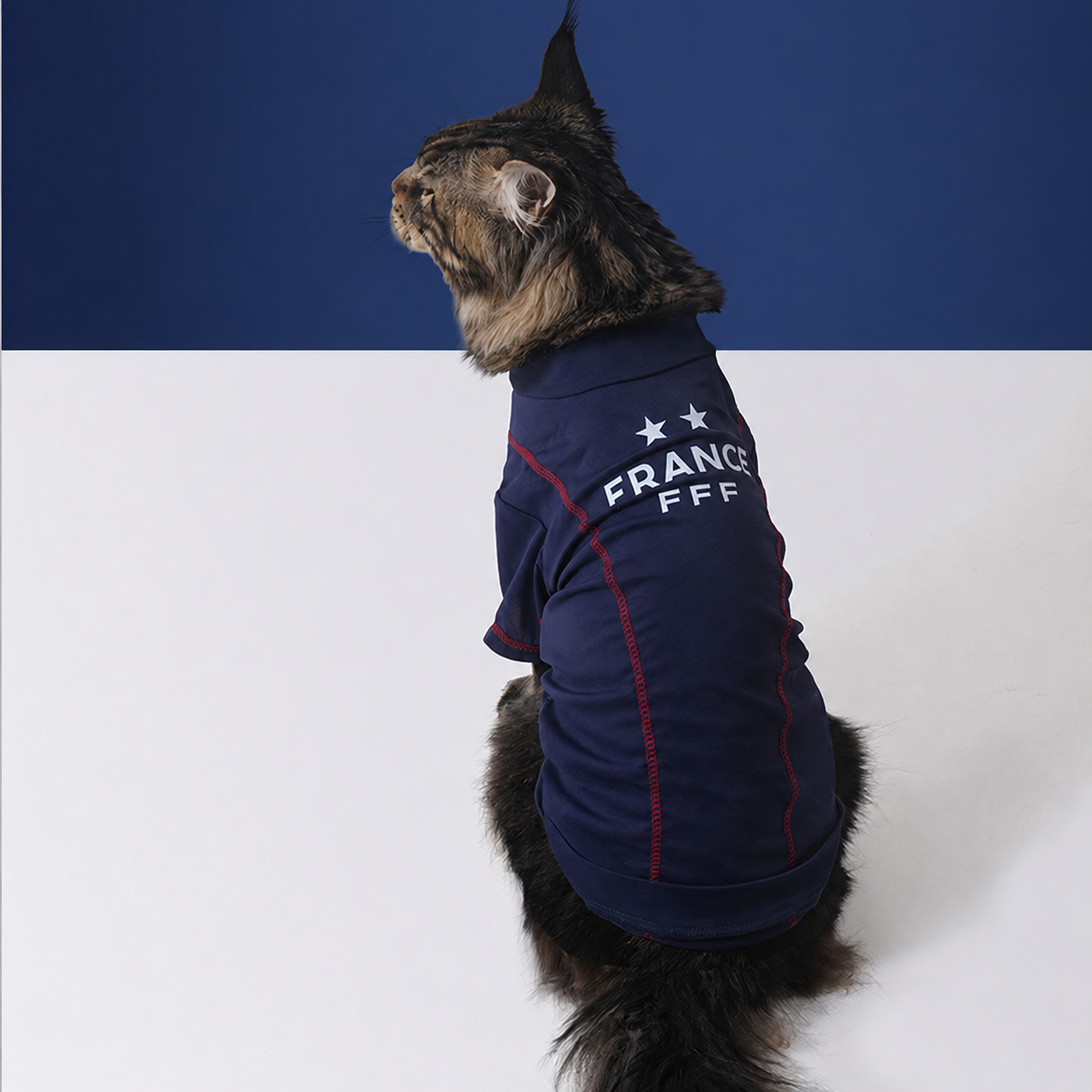France FFF Pet Cooling T-Shirt